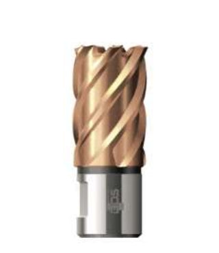 BDS HSS-VarioPlus Cutter Metric Short